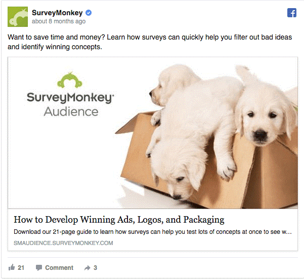 Jomel - Surveymonkey.png